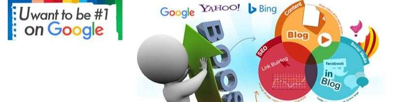 SEOFreelancer Bangalore cover logo