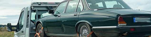 Sunshine Wreckers cover logo