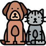 Pet Care in Cortalim